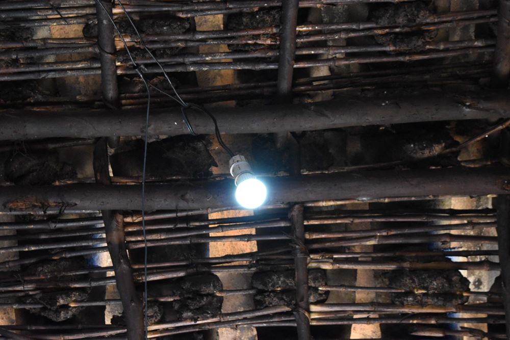 Ein Glühbirne ist Francois ganzer Stolz (Foto: Andreas Wagner) Ein Glühbirne ist Francois ganzer Stolz (Foto: Andreas Wagner)