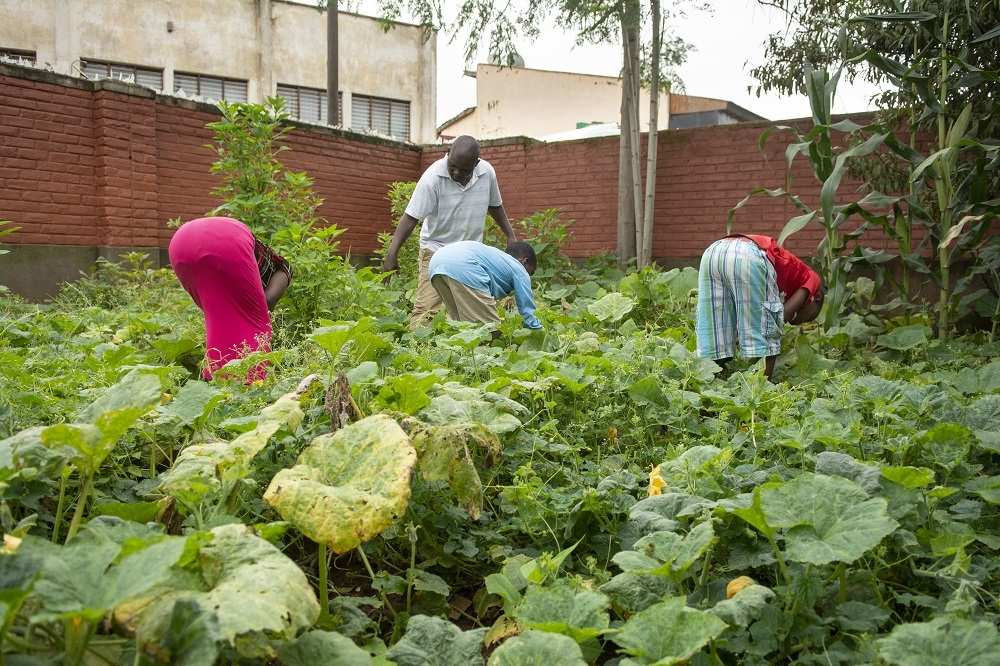 Die Jugendlichen übernehmen bei Tikondane auch Arbeiten im Garten (Quelle: Christian Nusch)