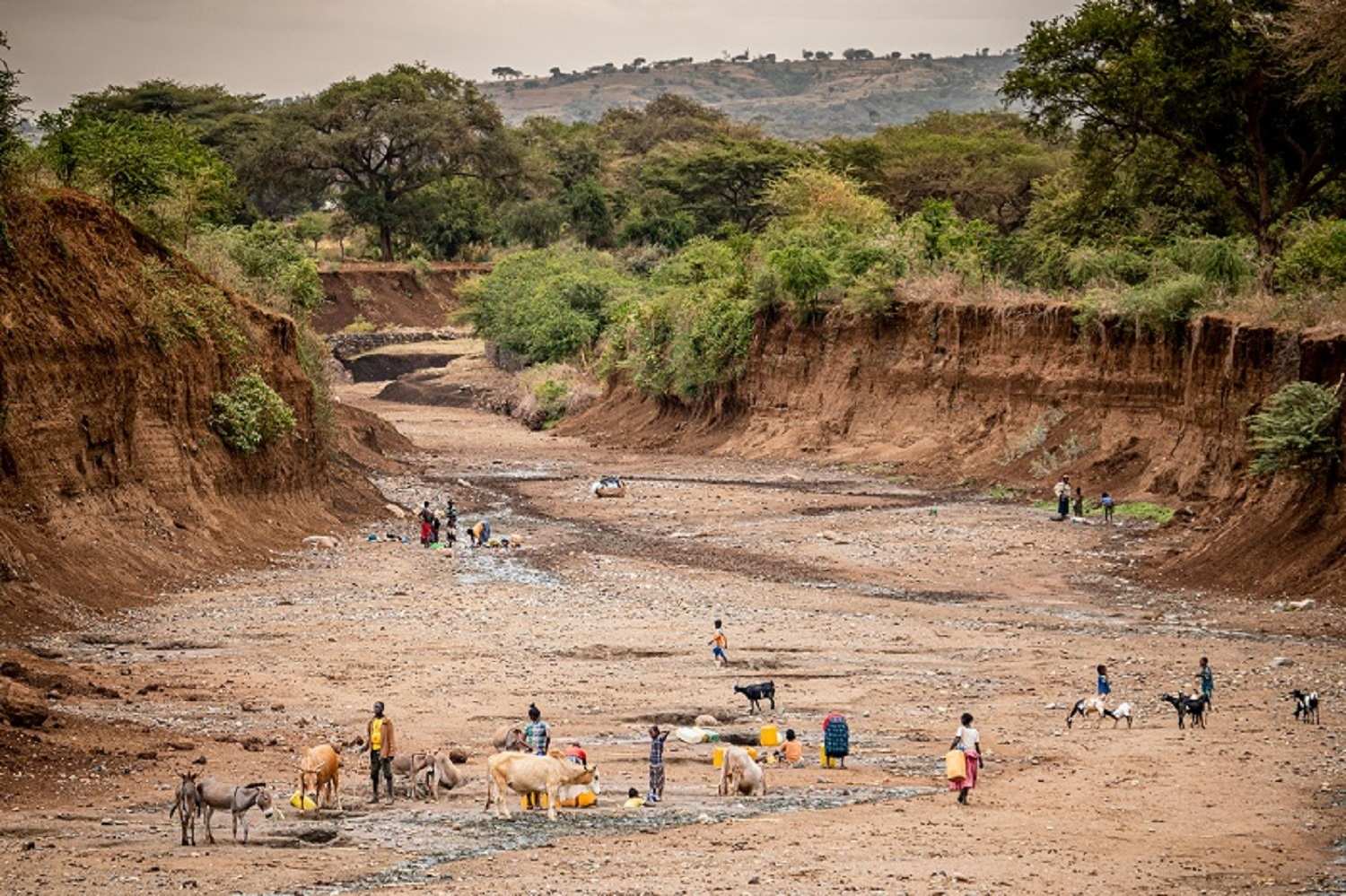 Äthiopien: ausgetrocknetes Flussbett (Quelle: Jakob Studnar)