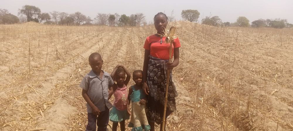 Wenn die Ernte verdorrt, gibt es nichts zu essen (Foto: Kindernothilfepartner) Wenn die Ernte verdorrt, gibt es nichts zu essen (Foto: Kindernothilfepartner)