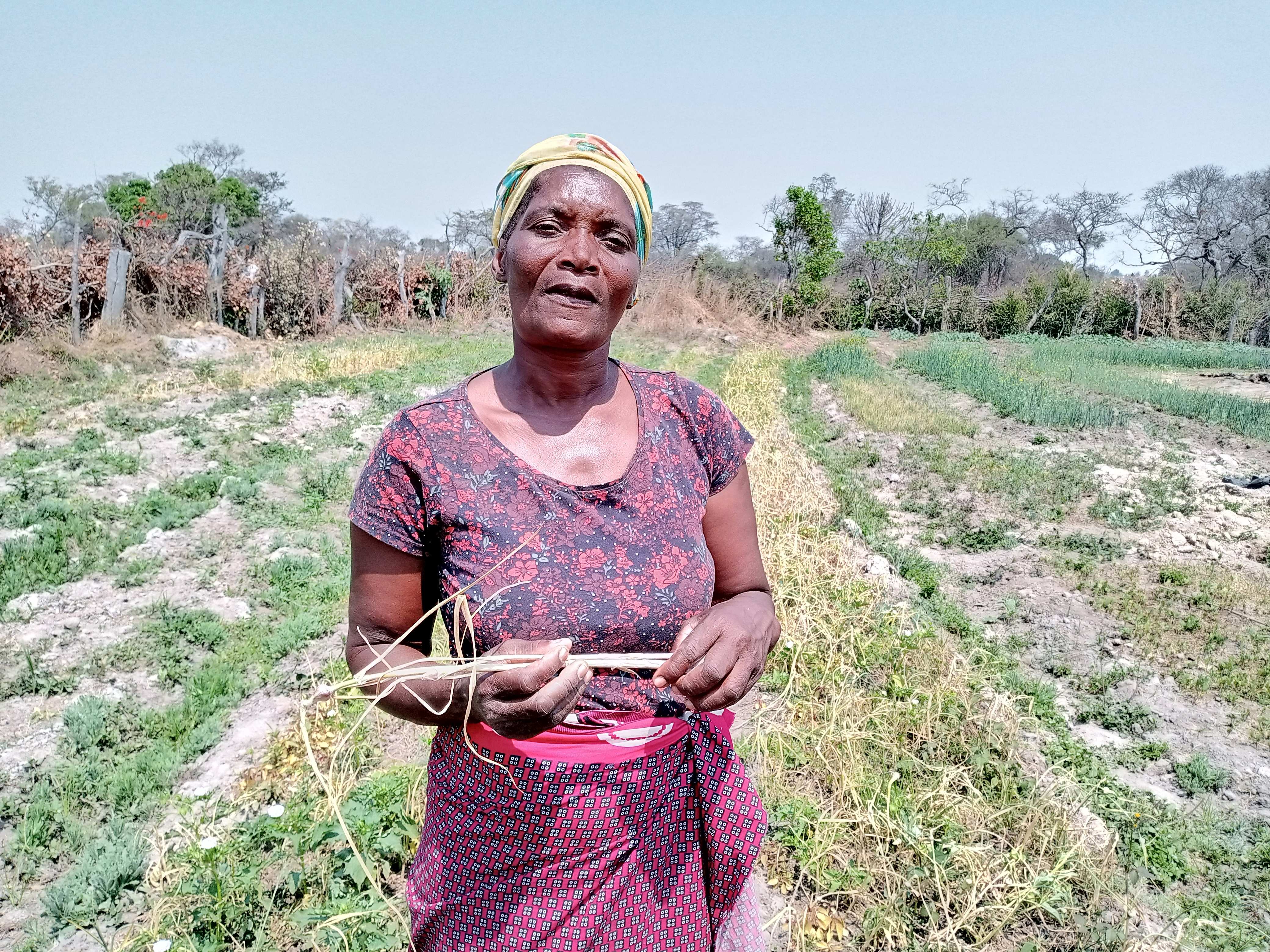 Landwirtschaftskurs für Frauen in Sambia (Foto: Kindernothilfepartner)