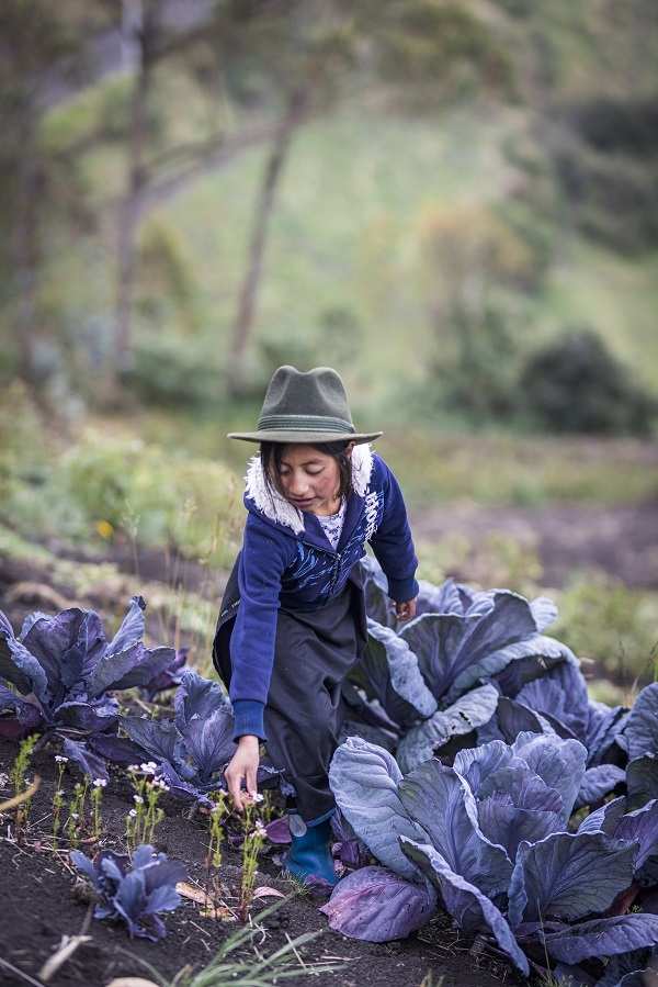 Rubi arbeitet auch auf dem Gemüsefeld mit (Quelle: Martin Bondzio) Rubi arbeitet auch auf dem Gemüsefeld mit (Quelle: Martin Bondzio)