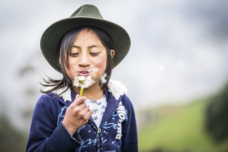 Rubi spielt mit einer Pusteblume (Quelle: Martin Bondzio) Rubi spielt mit einer Pusteblume (Quelle: Martin Bondzio)