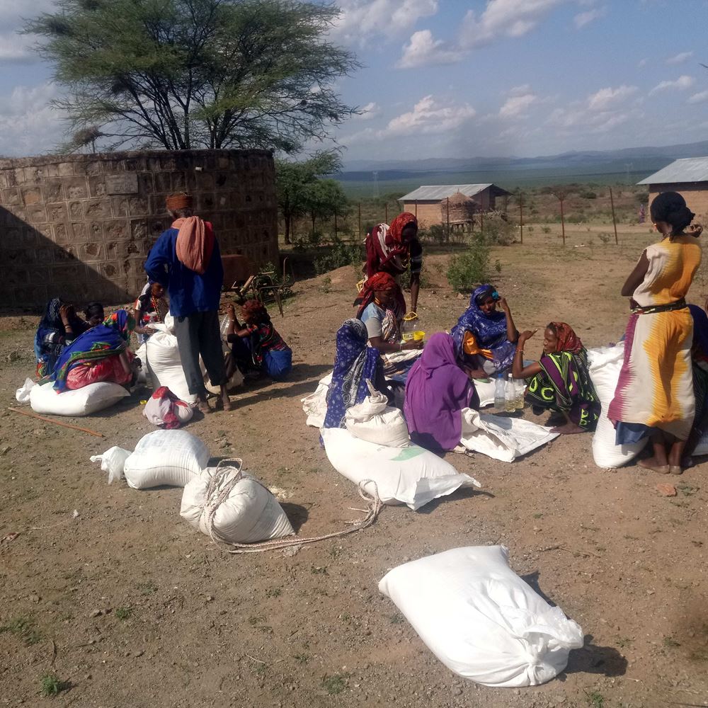 Pictures that show processes and distribution of emergency food aids, supplementary food, improved seeds, and animal feed provision at Borana