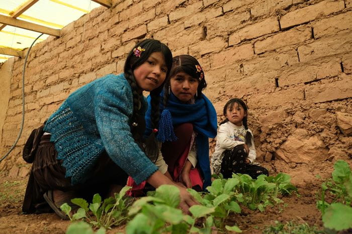 Das neue Gewächshaus versorgt die Schüler*innen mit frischem Gemüse und wichtigen Lernerfahrungen (Foto: Mauricio Vera) Das neue Gewächshaus versorgt die Schüler*innen mit frischem Gemüse und wichtigen Lernerfahrungen (Foto: Mauricio Vera)