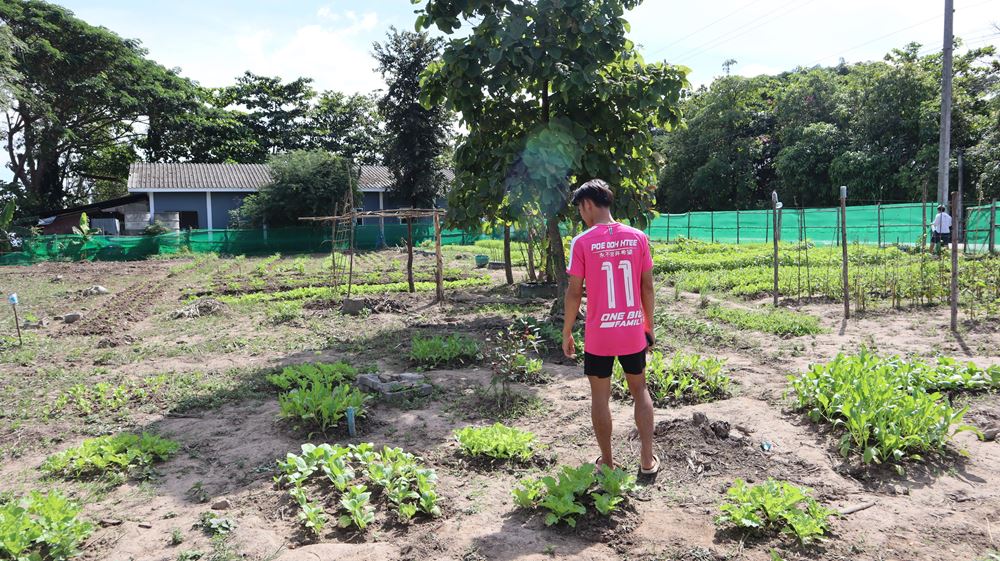 Ein Mann steht auf einem Feld (Quelle: Alicia Mankel) Ein Mann steht auf einem Feld (Quelle: Alicia Mankel)