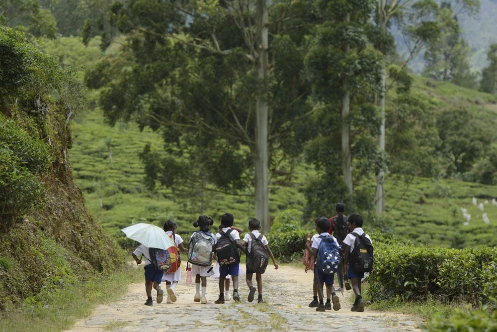 Sri Lanka: Kinder auf dem Weg zur Schule (Quelle: Christian Nusch) Wenn man in einer Gruppe zur Schule geht, ist man vor Leopardenangriffen besser geschützt (Foto: Christian Nusch)