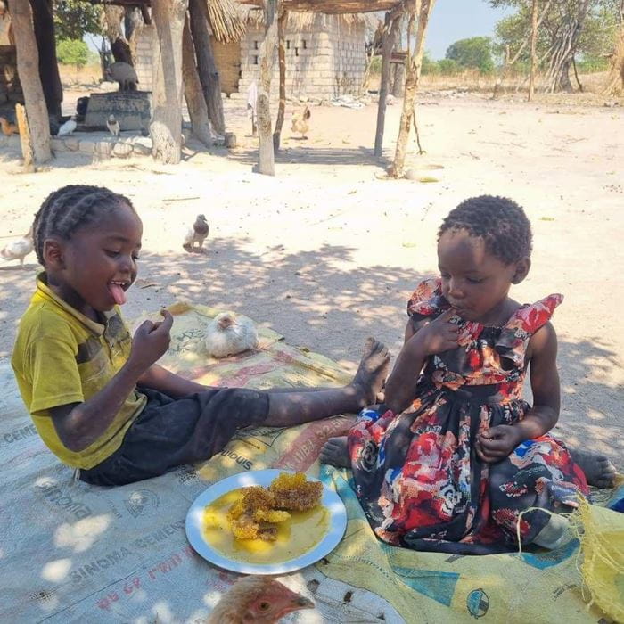 Honig stärkt Kinder in Sambia (Foto: Kindernothilfe)