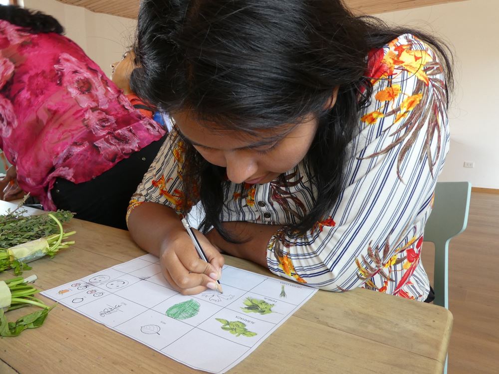 Der 16-jährigen Medaly gelingt es mühelos, Gewürzpflanzen zu identifizieren. Das Zeichnen ist schon anstrengender (Foto: Ilse Kreiner) Mädchen und Jungen aus Haiti sitzen auf dem Foto. Fast die Hälfte der knapp drei Millionen Mädchen und Jungen leidet unter akutem Hunger. Schulen sind geschlossen und die Gewalt gegen Kinder nimmt verheerende Ausmaße an. (Foto: Erhard Stückrath/Kindernothilfe)