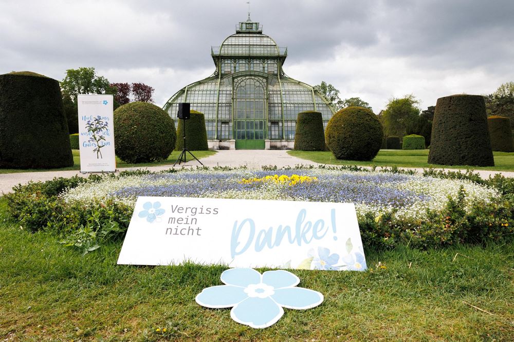 VGM Blumenaktion 2024 (Foto: Sima Prodinger) VGM Blumenaktion 2024 (Foto: Sima Prodinger)