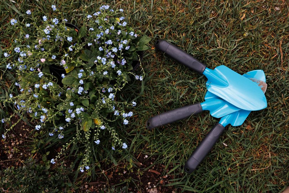 VGM Blumenaktion 2024 (Foto: Sima Prodinger) VGM Blumenaktion 2024 (Foto: Sima Prodinger)