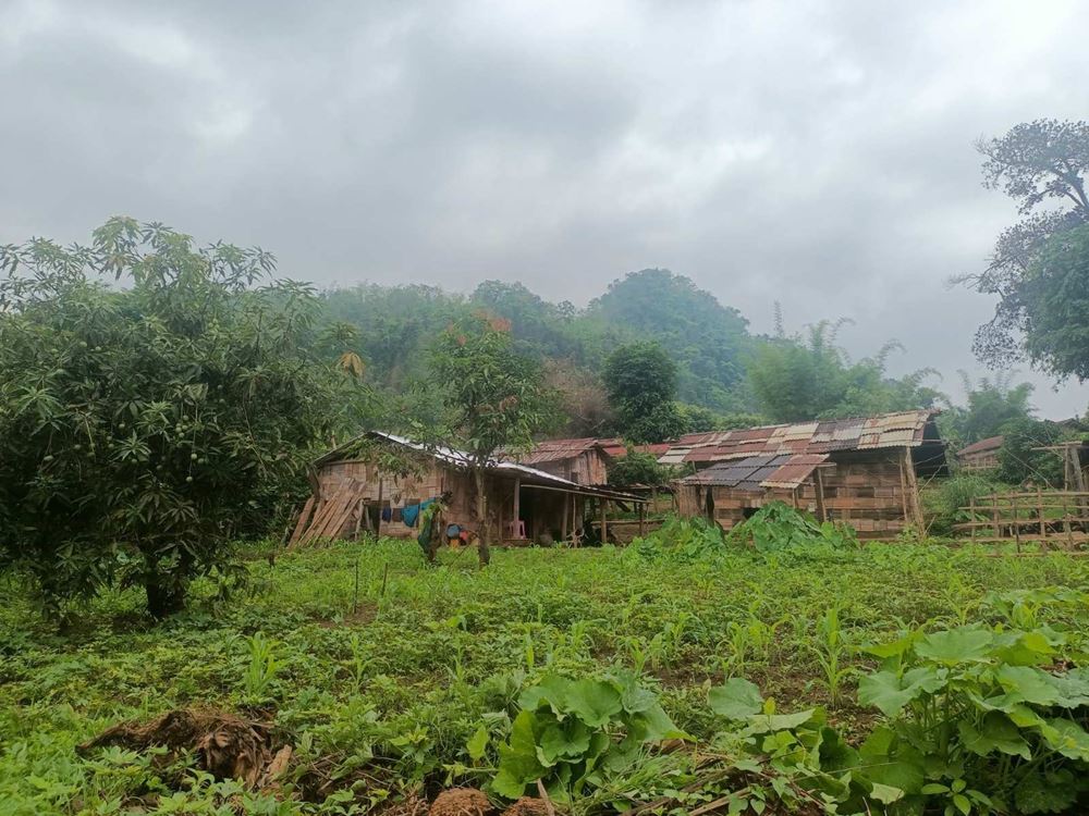 Hütten mit einem Gemüseacker im Vordergrund, im Hintergrund ein Wald (Quelle: Kindernothilfepartner Hütten mit einem Gemüseacker im Vordergrund, im Hintergrund ein Wald (Quelle: Kindernothilfepartner