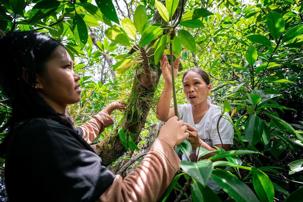 Foto: Jakob Studnar Foto: Jakob Studnar