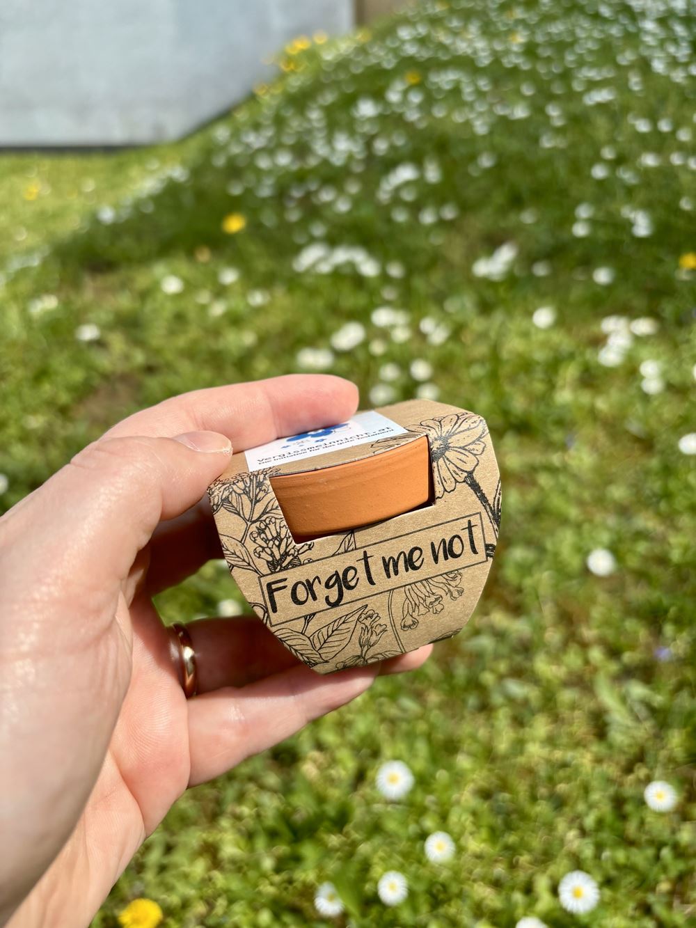 Vergissmeinnicht. Vergissmeinnicht.