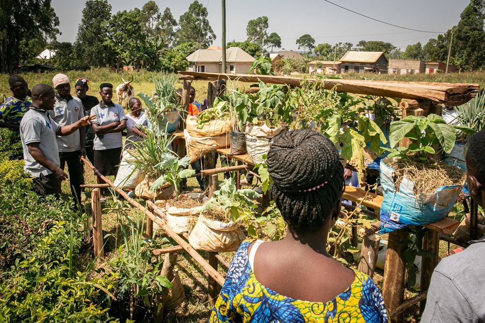 Praxisunterricht im Rahmen des Mobile Farm School Programms (Quelle: Sascha Montag) Praxisunterricht im Rahmen des Mobile Farm School Programms (Quelle: Sascha Montag)