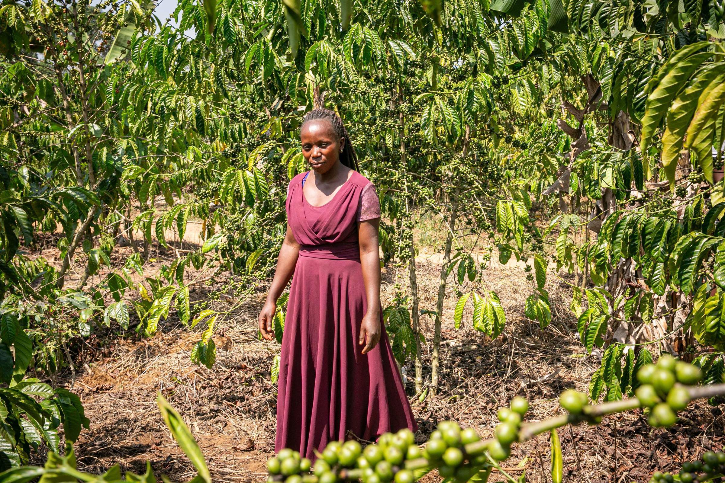 Janepher Namukaya auf ihrer Kaffeefarm (Quelle: Sascha Montag)