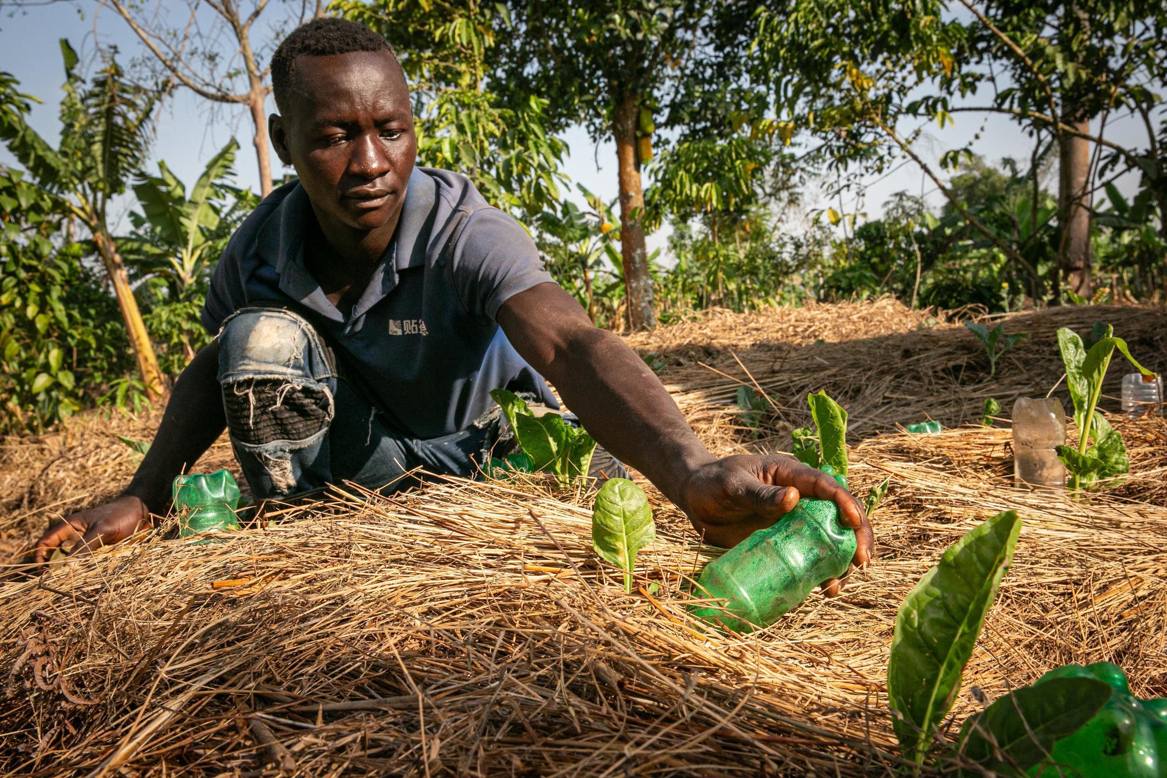 Mike Kiweewa wendet  auf seiner Farm das Mobile Farm School-Wissen an (Quelle: Sascha Montag)