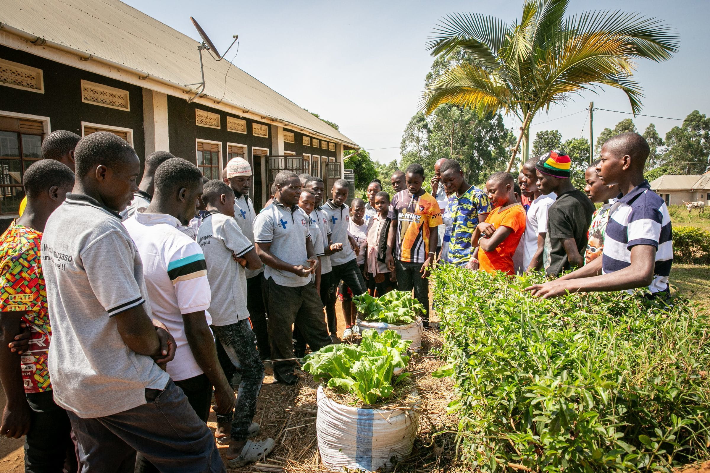 Praxisunterricht im Rahmen des Mobile Farm School Programms in Uganda (Quelle: Sascha Montag)