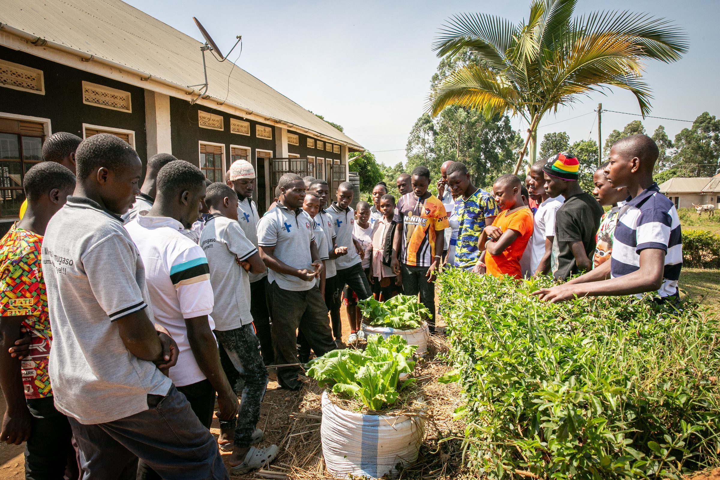 Praxisunterricht im Rahmen des Mobile Farm School Programms in Uganda (Quelle: Sascha Montag) Praxisunterricht im Rahmen des Mobile Farm School Programms in Uganda (Quelle: Sascha Montag)