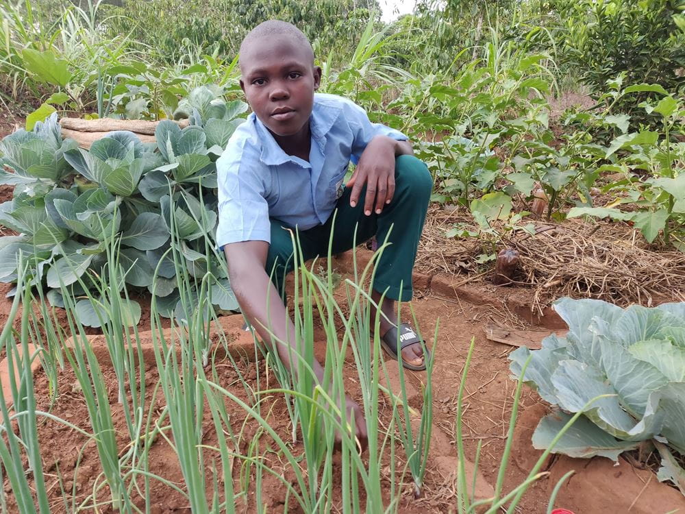 Ein Junge aus Uganda hockt in seiner blau-grünen Schuluniform vor einem seiner Beete im seinem Garten. (Quelle: Katharina Drzisga) Ein Junge aus Uganda hockt in seiner blau-grünen Schuluniform vor einem seiner Beete im seinem Garten. (Quelle: Katharina Drzisga)