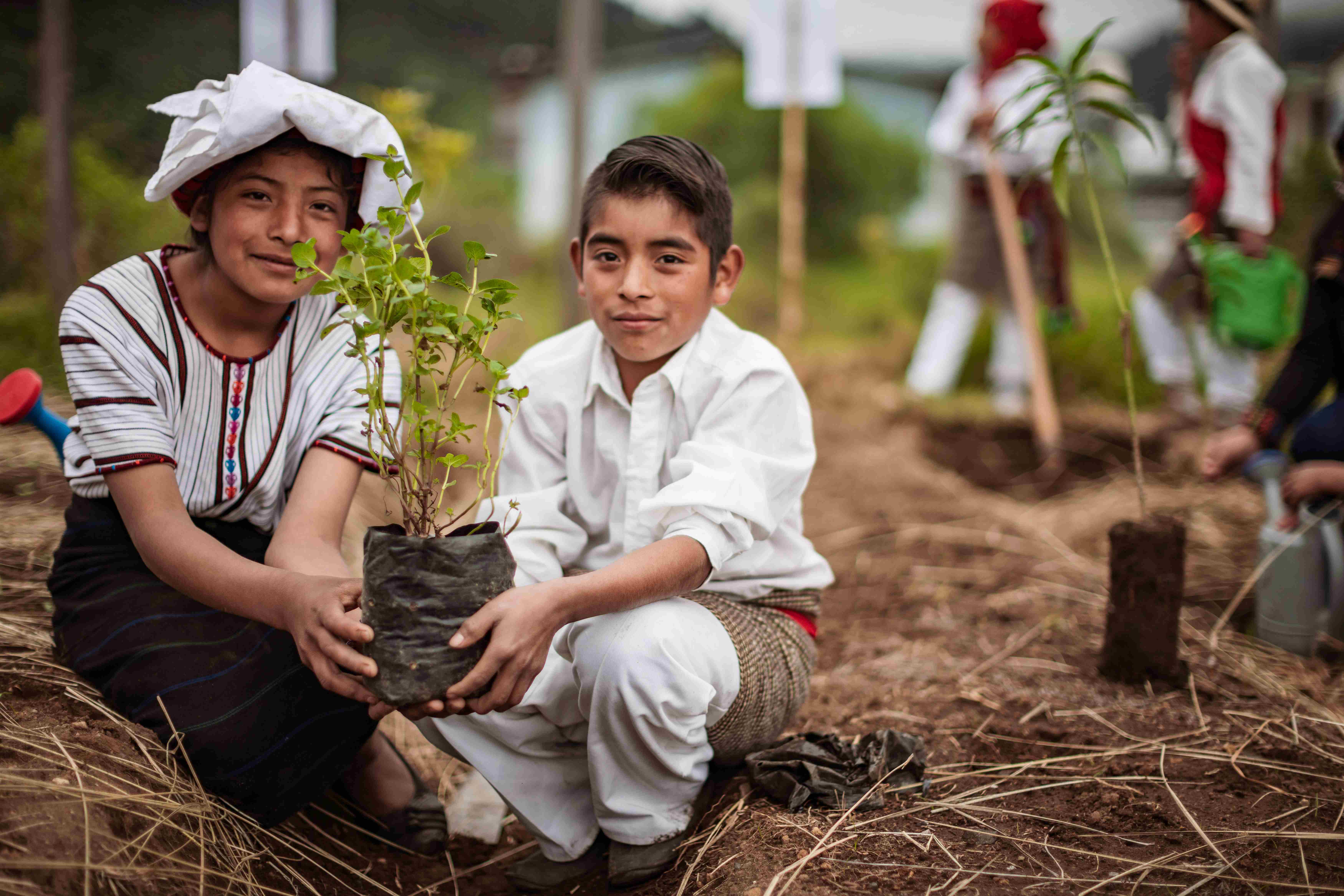 Zwei Kinder setzen eine Pflanze in den Boden  (Bildquelle: Jakob Studnar)