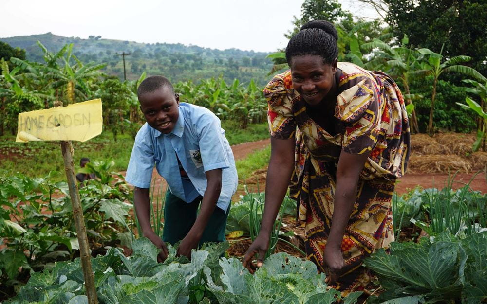 Reportage Uganda: Aufschwung am Äquator; Foto: Zwei Personen bei der Feldarbeit (Quelle: Ludwig Grunewald / Kindernothilfe)