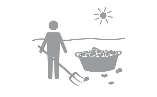 Icon Landwirtschaftskurse